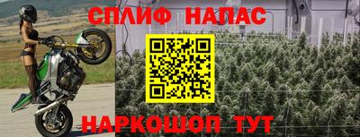 крисы Комсомольск-на-Амуре