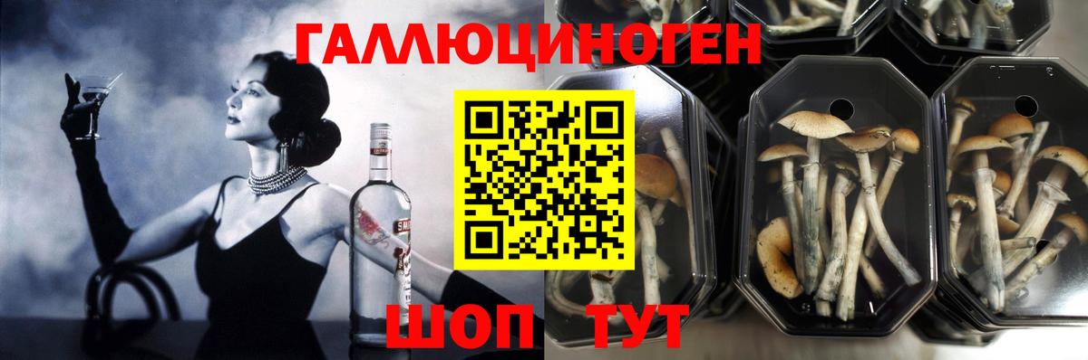 Галлюциногенные грибы Psilocybine cubensis  Вход с VPN  Армавир 